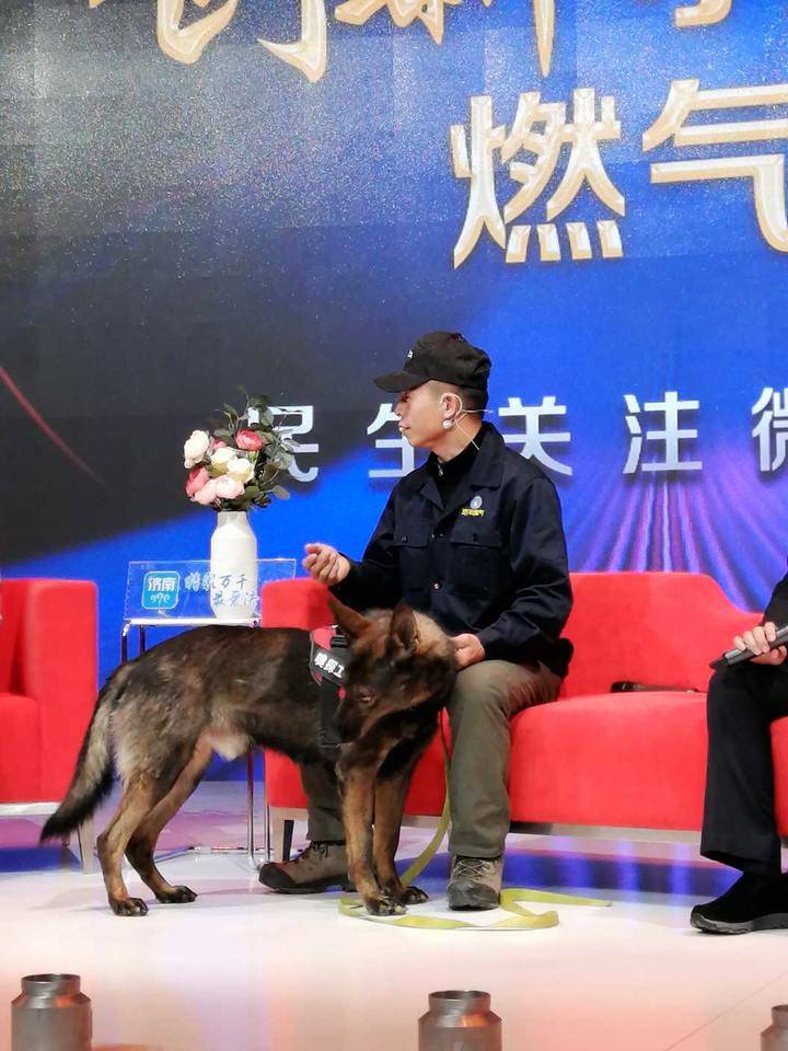 齐鲁晚报网-山东新闻门户 传播品质资讯